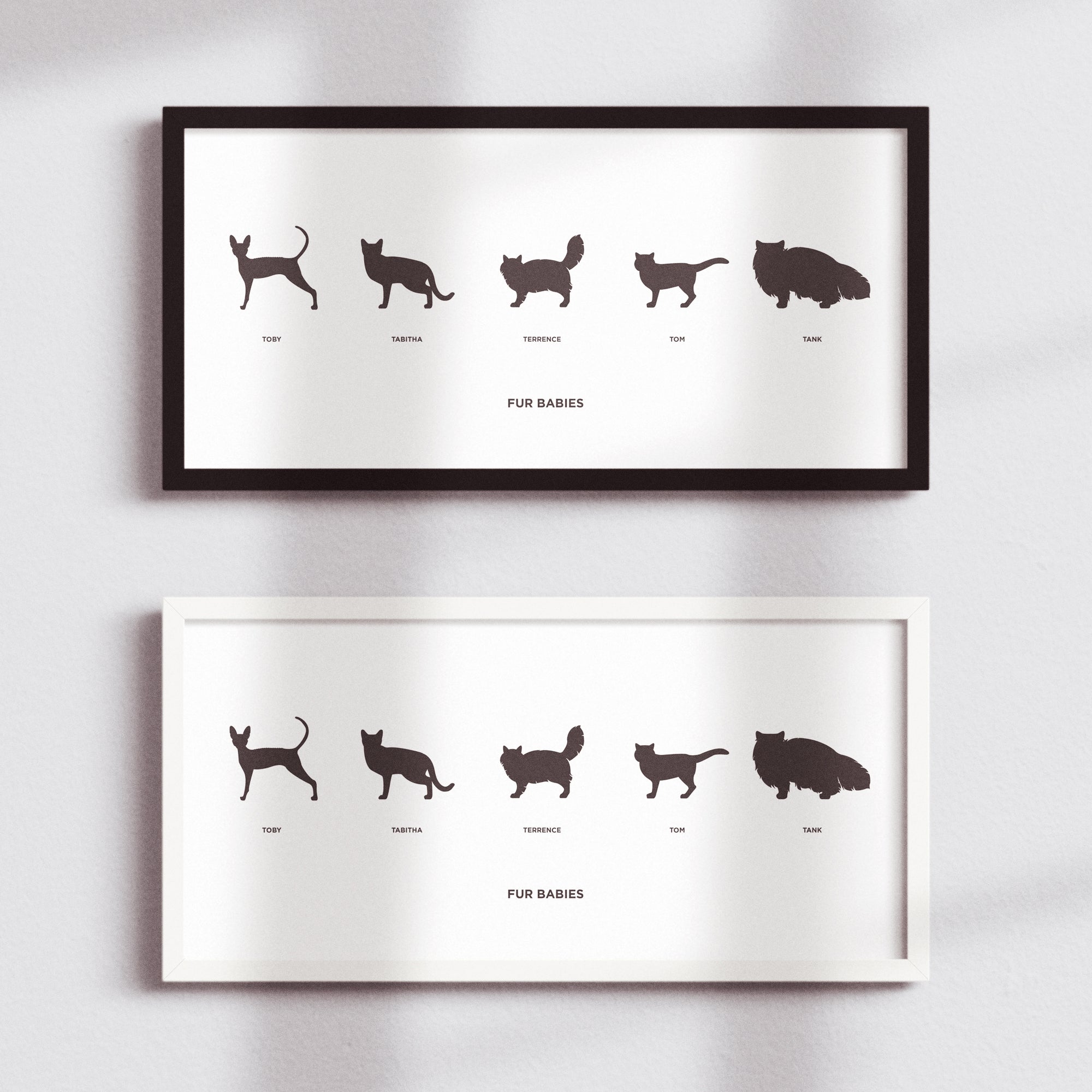 Cats in Silhouette