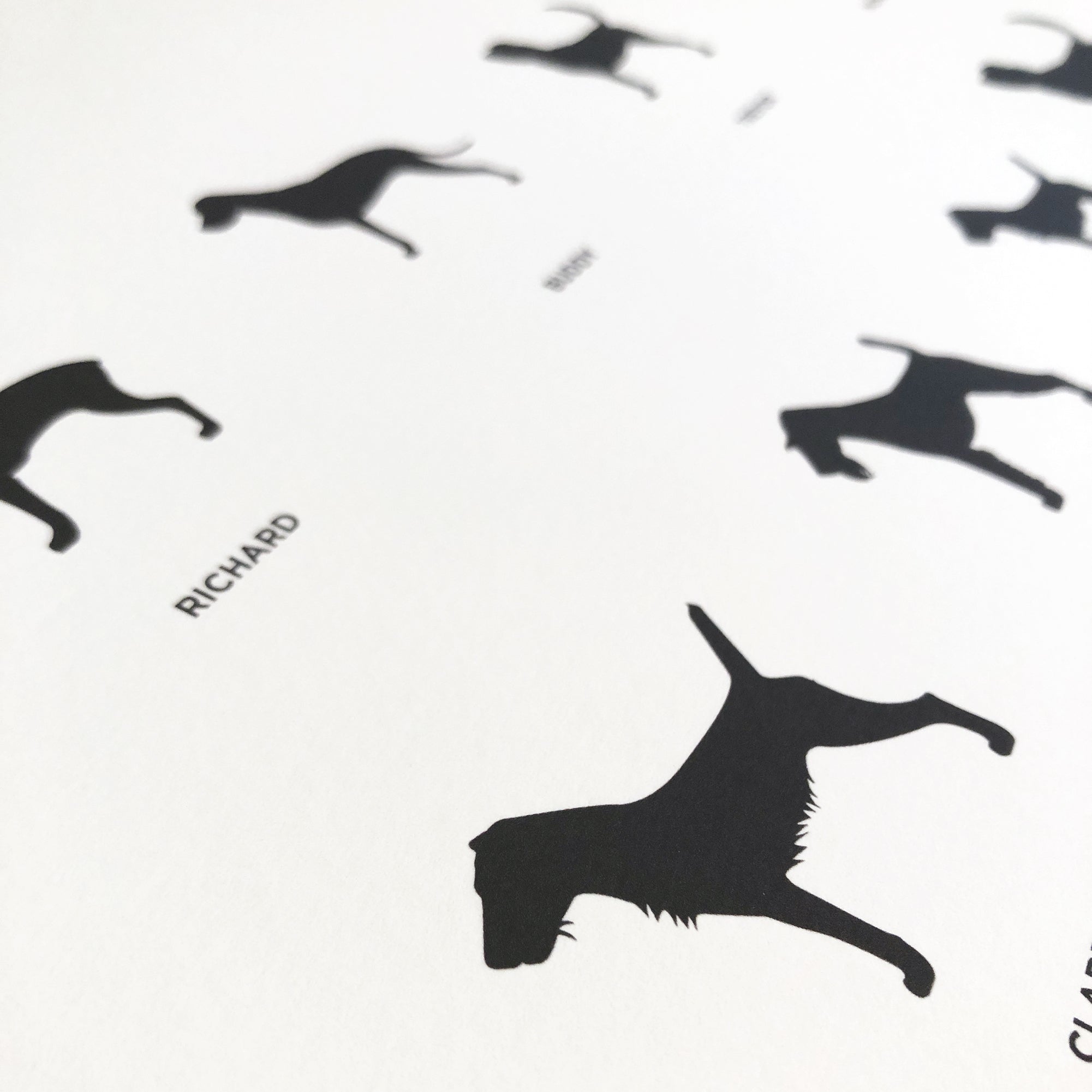 Dogs in Silhouette