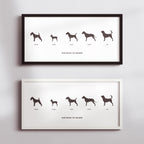 Dogs in Silhouette