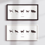 Pets in Silhouette