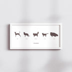 Cats in Silhouette