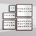 Cats in Silhouette