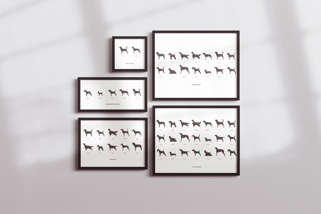 Pets in Silhouette