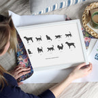 Pets in Silhouette